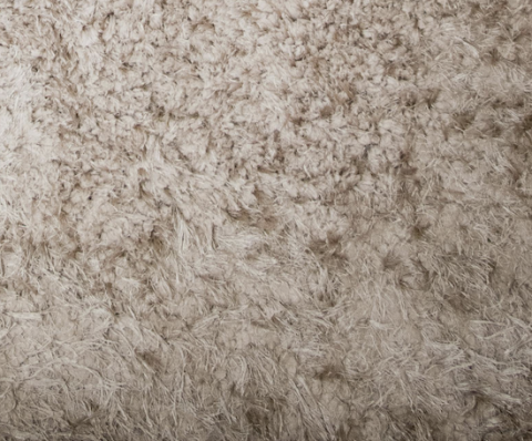 Image depicting the Service Carpet Repairs